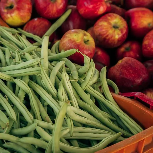 pexels-andré-beltrame-1680585