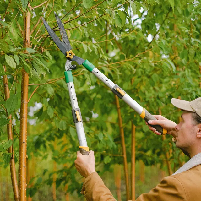 pexels-shvetsa-5231045