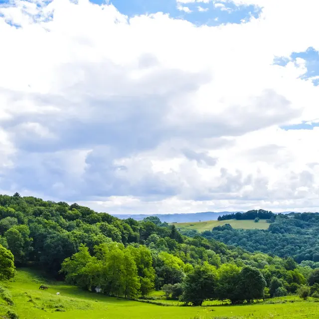 photo-rando-rontignon-sentier-des-cretes11