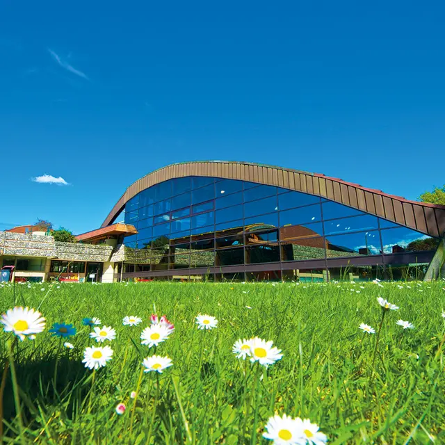 Piscine - Lons - extérieur
