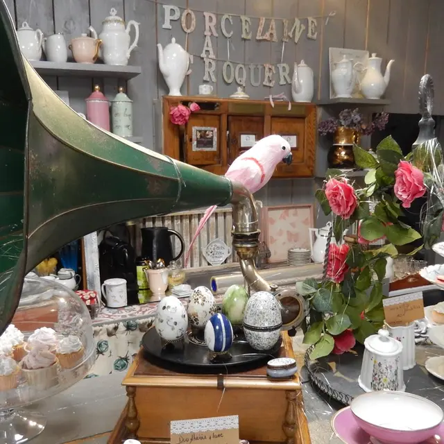 Porcelaine à croquer - Pau - Intérieur boutique