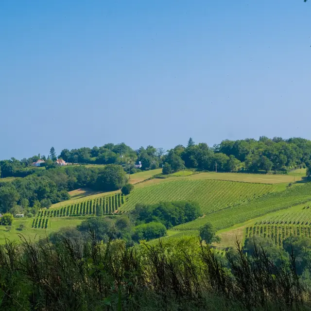 rando-pau-aubertin-de-la-helere-a-la-baise-10