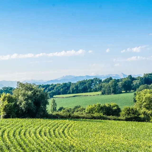 rando-pau-beyrie-promenade-autour-beyrie-02