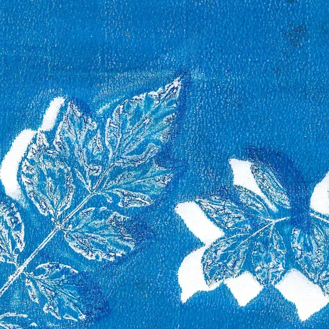 Cyanotype