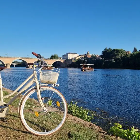 Location vélos Bergerac électriques - musculaire - nouveau