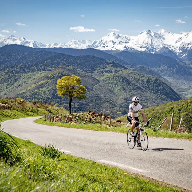 Le Col d'Aspin
