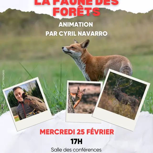 Atelier hiver 2025/2026 MDP - 16