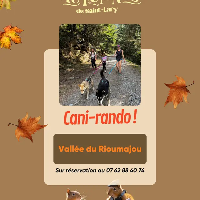 Anes et cani rando - Automnes de Saint-Lary - 2