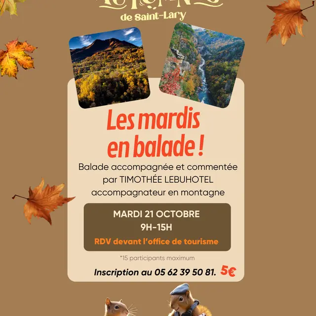 Atelier les mardis en balade  - 2