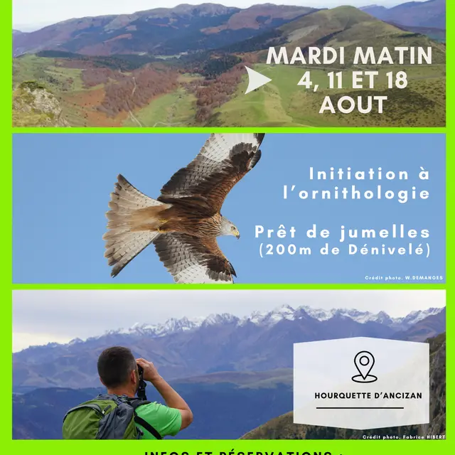 A la découverte des grands rapaces - 1