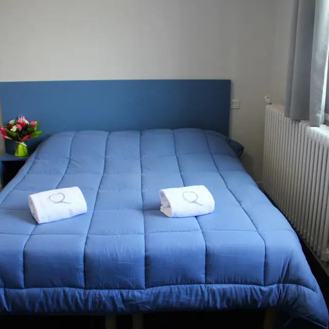 Hotel Petit Majestic Lourdes