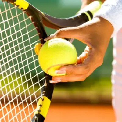 Lourdes tournoi des aiglons 2026