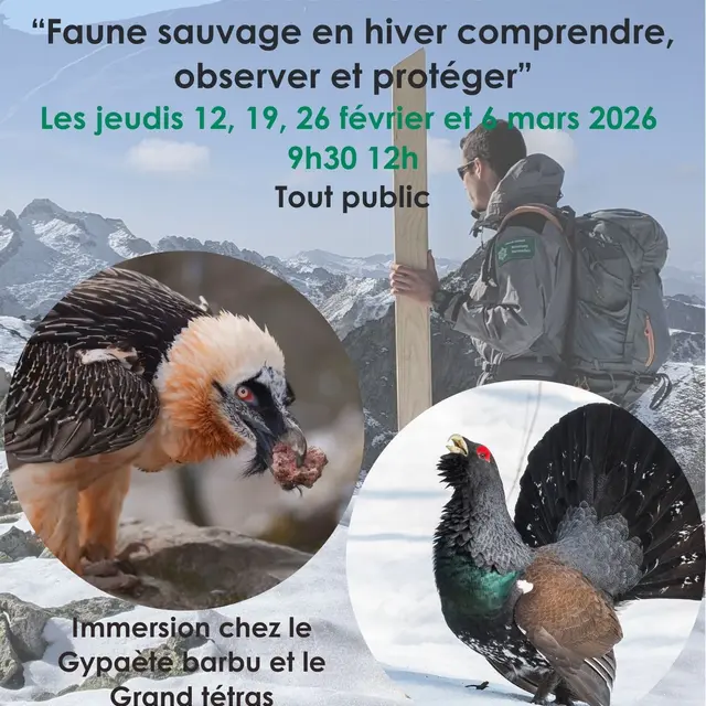 Affiche RNR Aulon 2026 anim' amm