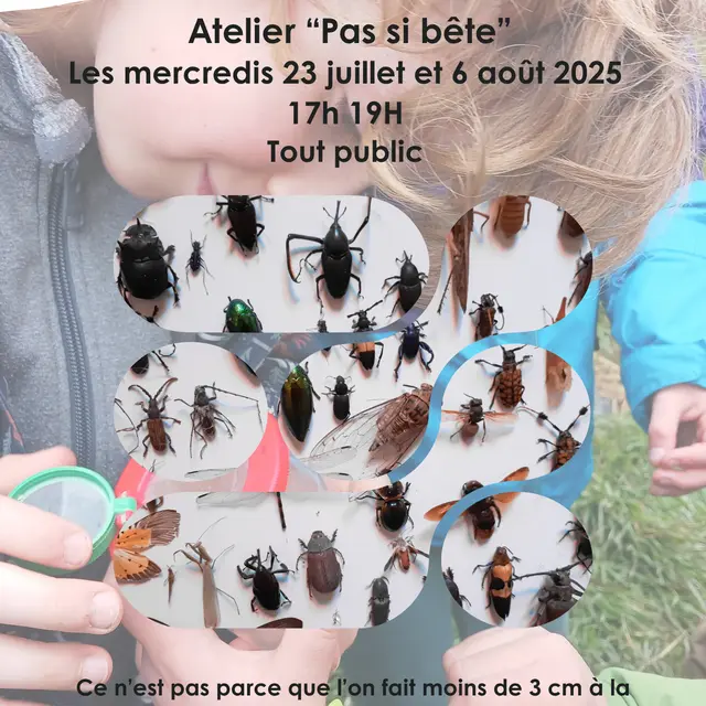 Affiche RNR Pas si bête