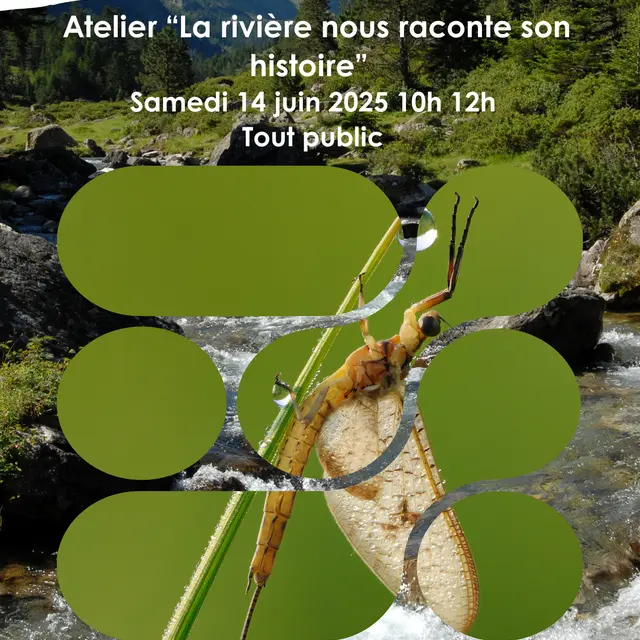 Affiche RNR IBGN - 1