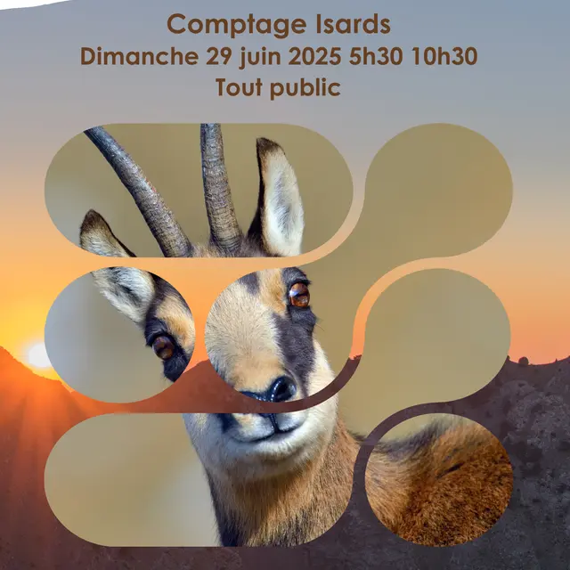 Affiche RNR IPS Isard - 1