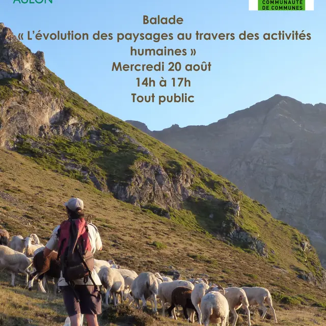 Affiche RNR PAH