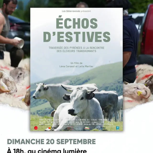 Ciné-débat - 1