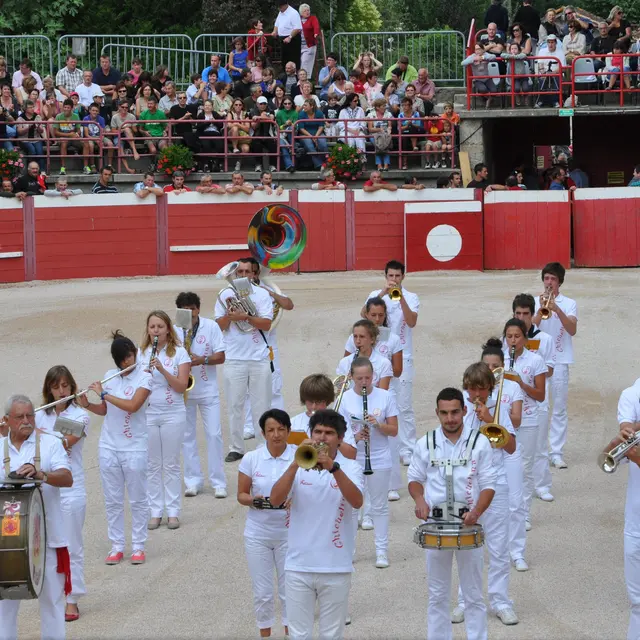 Arènes course landaise