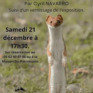 Atelier Conférence Immersion dans la photographie animalière