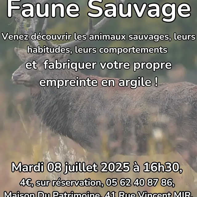 Atelier Faune Sauvage - 1