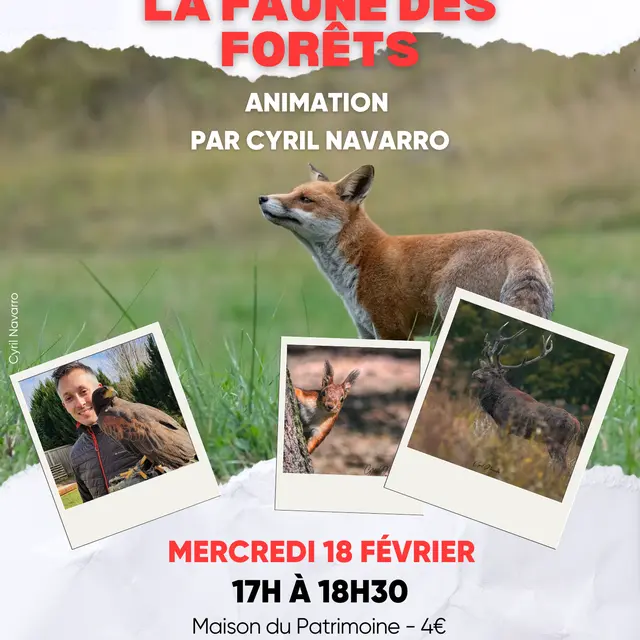 Atelier hiver 2025/2026 MDP - 14