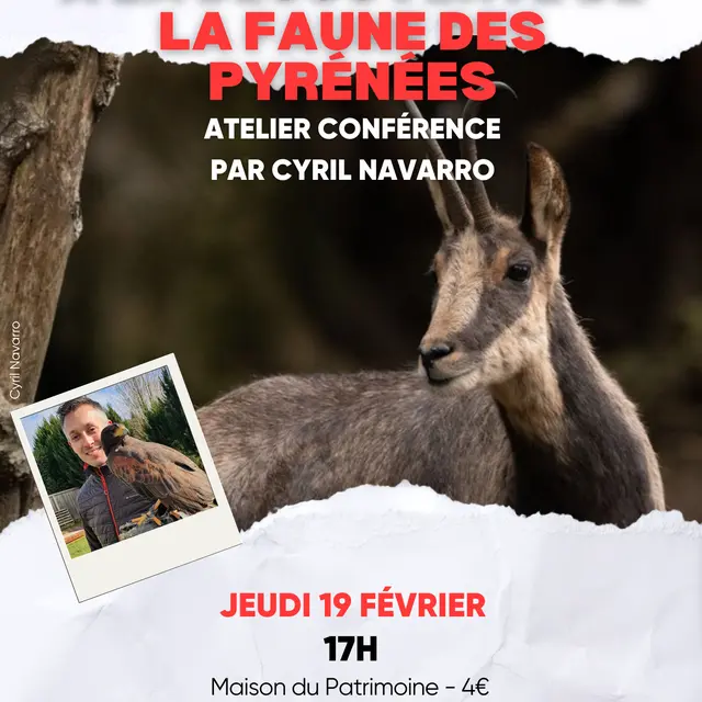 Atelier hiver 2025/2026 MDP - 15