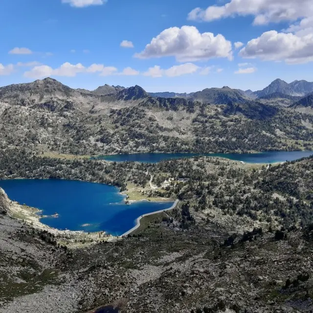 Aubert