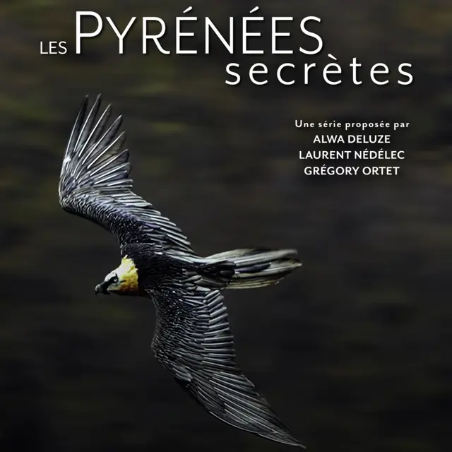 Bannière Gypa_0