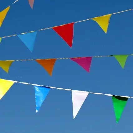 Fête d'avezac