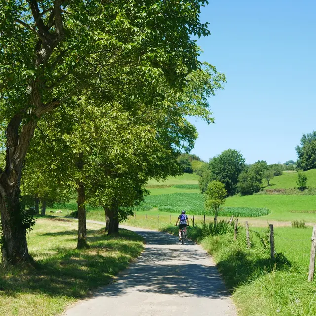 Castelloubon vélo nature personnage 5 ©OTLourdes_août2023