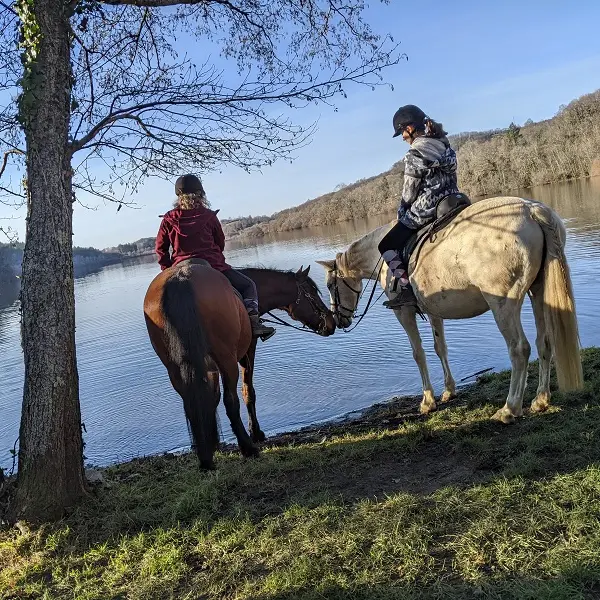 Centre Equestre Ferme Artigues - Lac de Lourdes