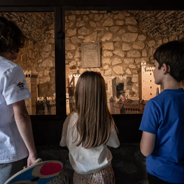 Chateau_Fort_de_Lourdes-238