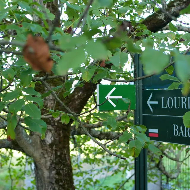 Chemin de Bernadette panneau arbre