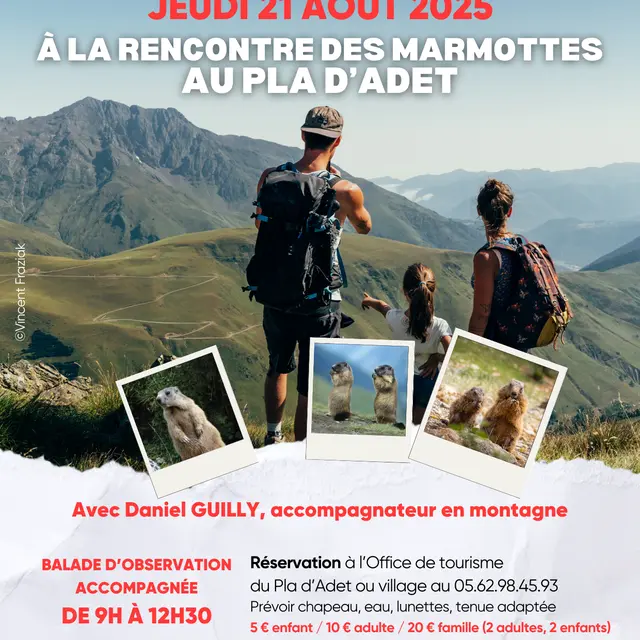 A la rencontre des marmottes avec Daniel Guilly