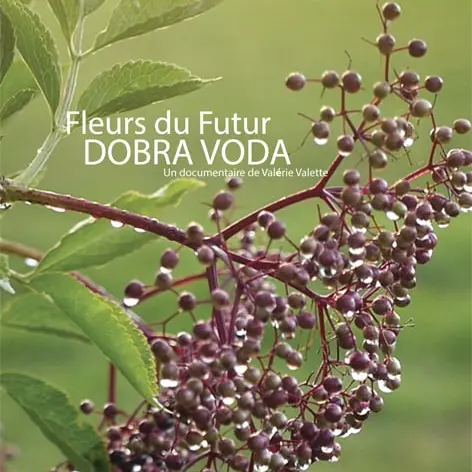 Jacket dossier presse Val