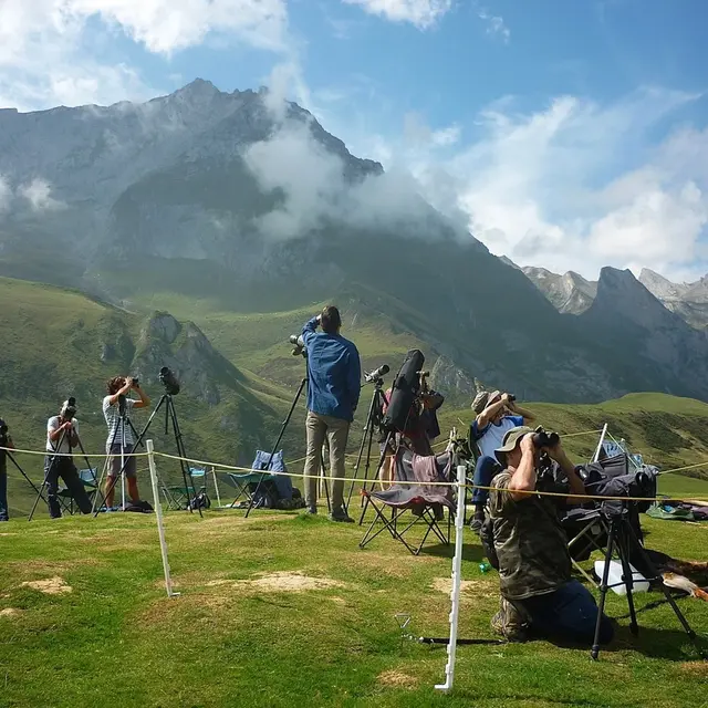 Formation Oiseaux Cols Libres