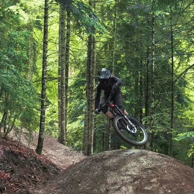 Flow trail @davidbergar