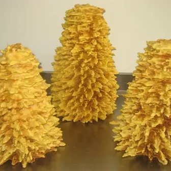 Gâteaux à la Broche