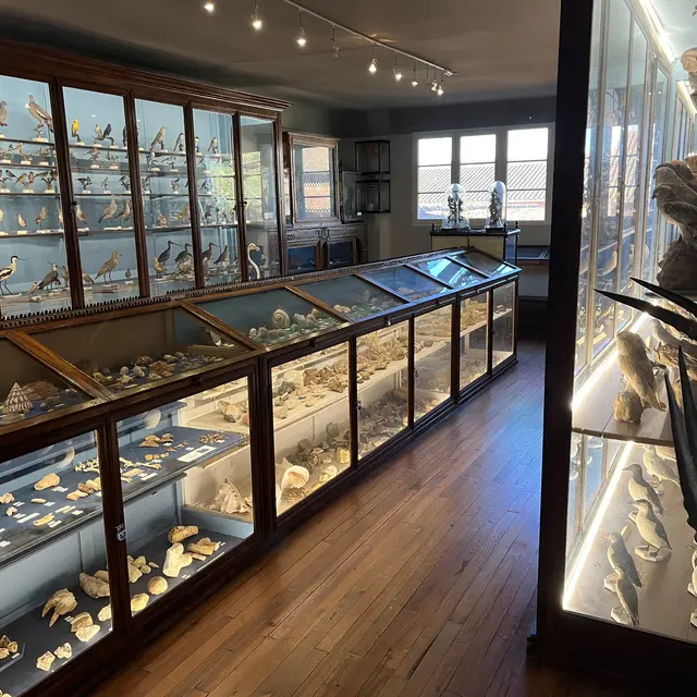 Museum_d_histoire_naturelle_1