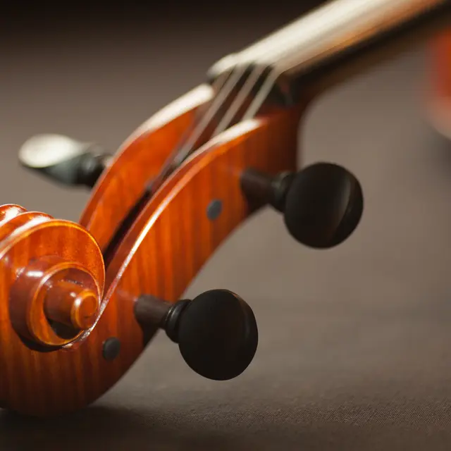 Instrument à cordes © Méline Waxx on Pexels