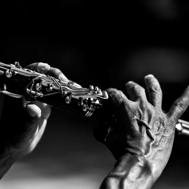 Jazz_(126656223)