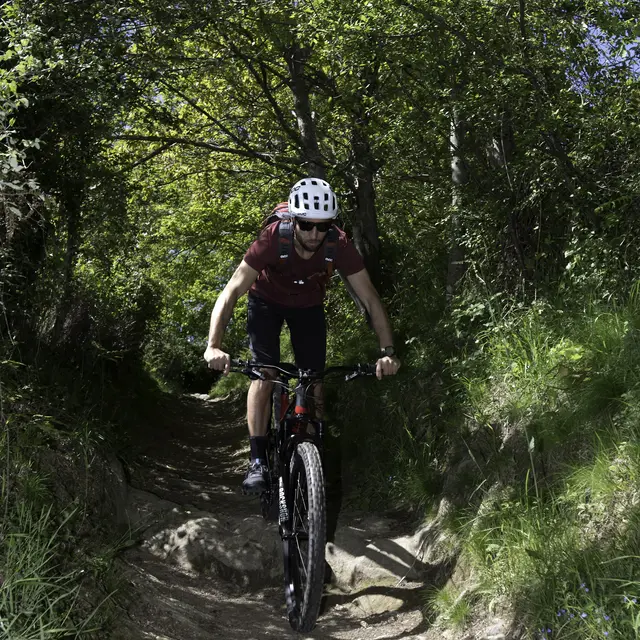 LOURDES-N°10-HENRIIV