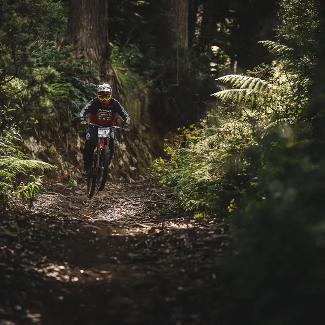 LOURDES-N°11-eerik-sandstrom