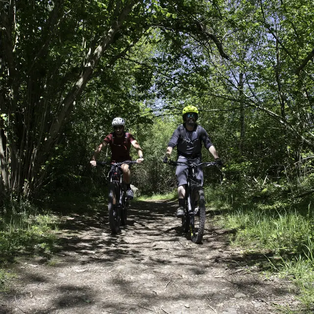 LOURDES-N°13-BATSURGUERE