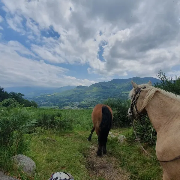 La ferme du poney fringuant - 2