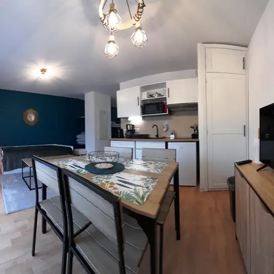 Lourdes_Appartement La Marmotte Cendree (1)