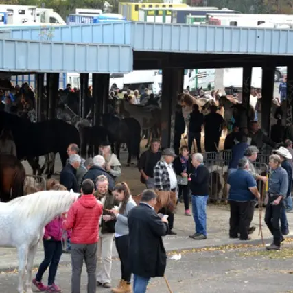 Lourdes-foire-aux-chevaux 2025