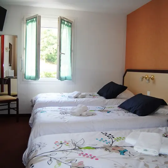 Lourdes hotel Myosotis 1