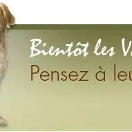 PENSION POUR CHIENS